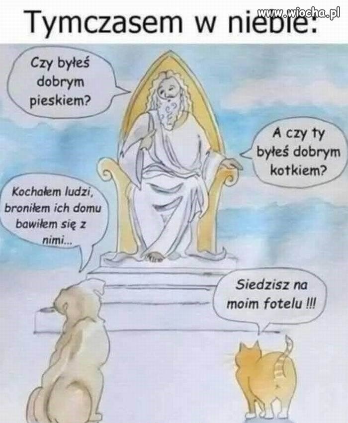Różnica w podejściu