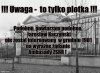To by wiele tłumaczyło,