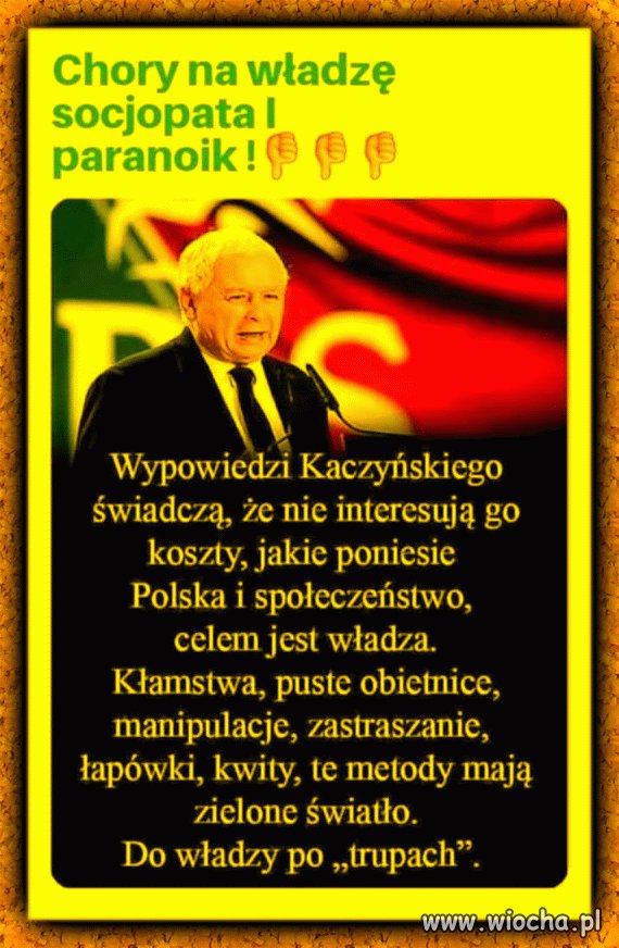 Idol pisowskich zj3bów