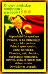 Idol pisowskich zj3bów