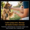 W punkt ale wielu się to nie spodoba...