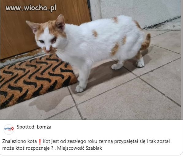 Przypomniało mi się.