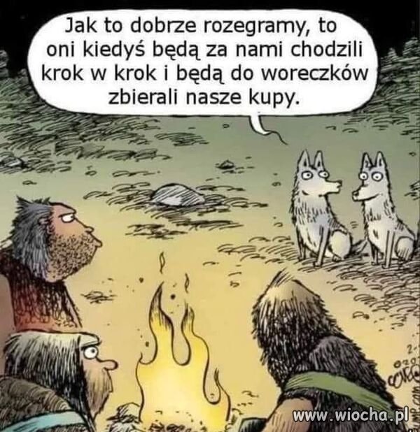 Większość nie zbiera.