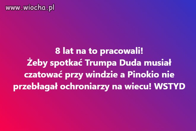 Banda pajaców i amatorów