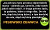 Wódz pisonów