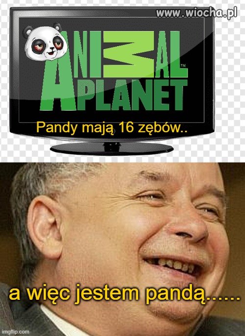 Kiedy z programu w TV