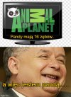 Kiedy z programu w TV