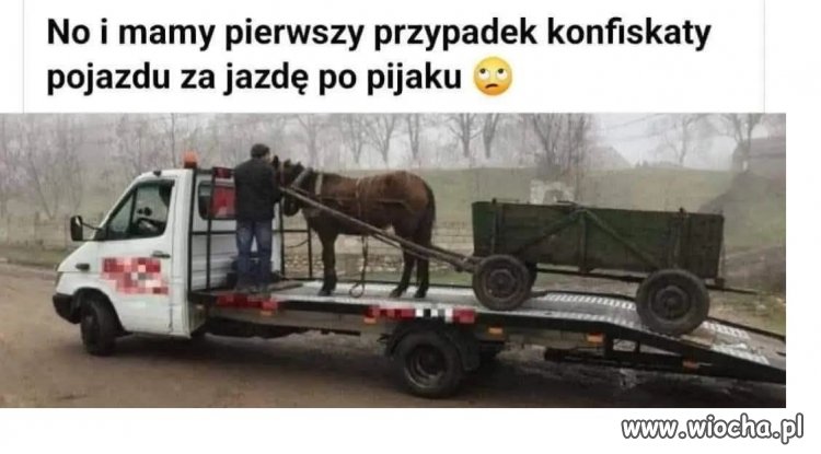 Potwierdzam