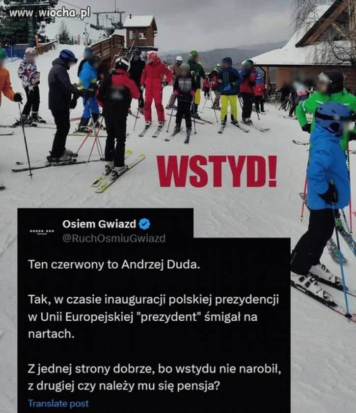 Pisowski idiota
