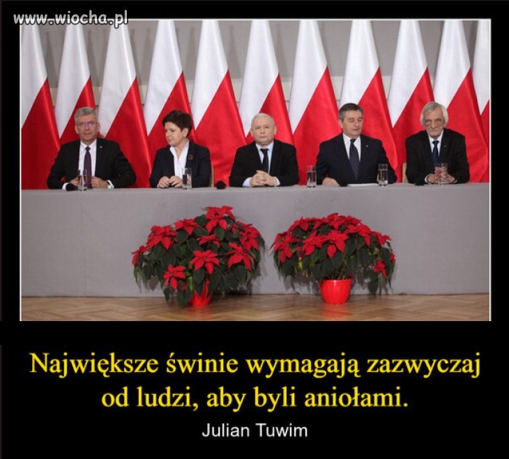 Orwell też kiedyś pisał o świniach.