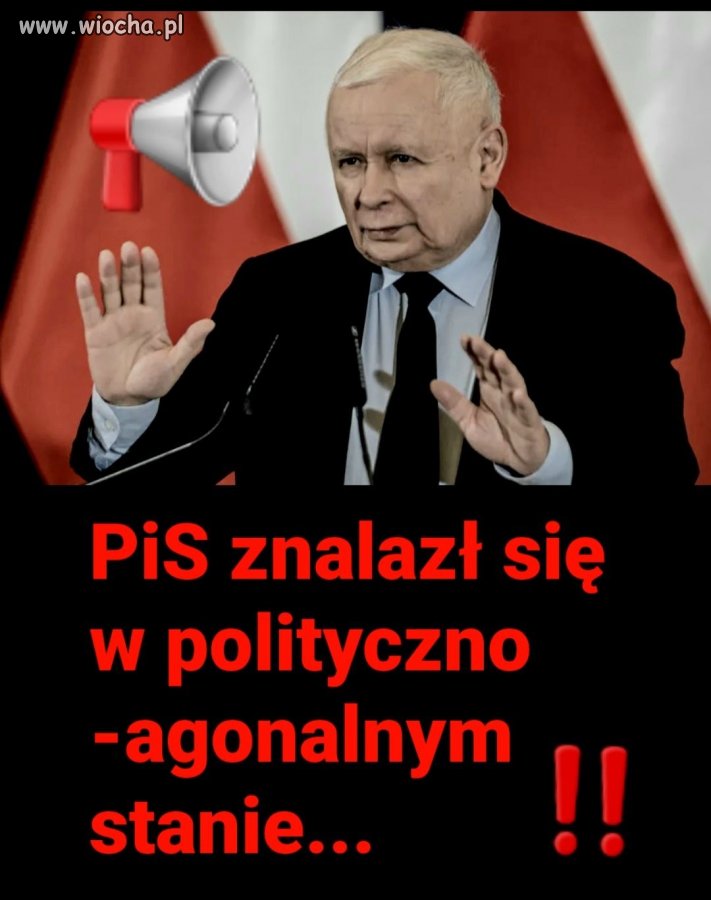 Wcale mi ich nie szkoda !  Niech zdychają !