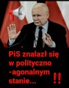 Wcale mi ich nie szkoda !  Niech zdychają !