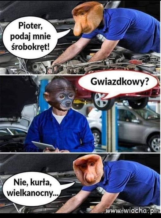 Tak jest 