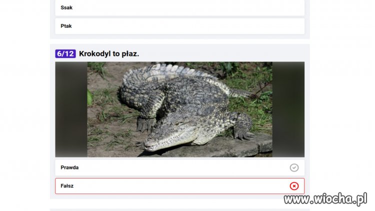 Quiz na o2.pl