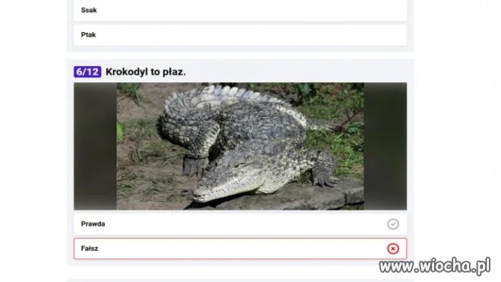 Quiz na o2.pl