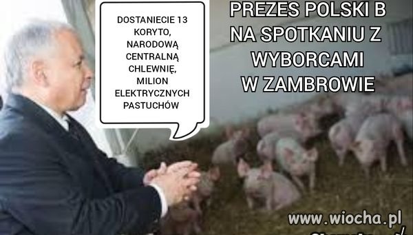 Wuc na Podlasiu.