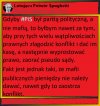 Bo to mafia a nie partia polityczna