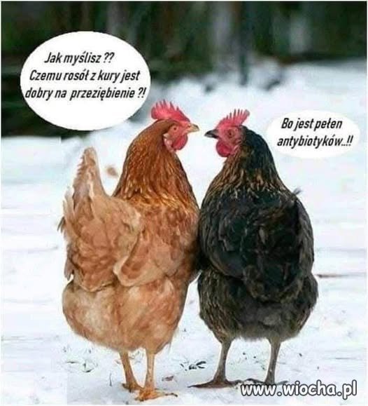 No i sprawa jasna
