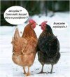 No i sprawa jasna