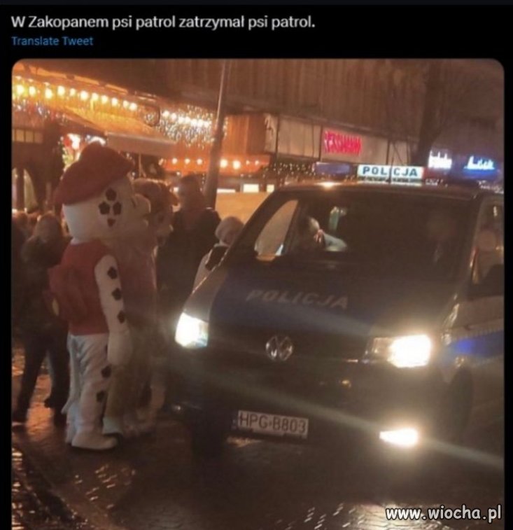 Potwierdzam