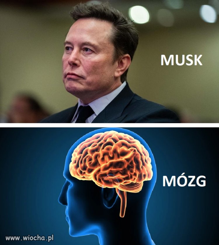 Ortografia robi różnicę