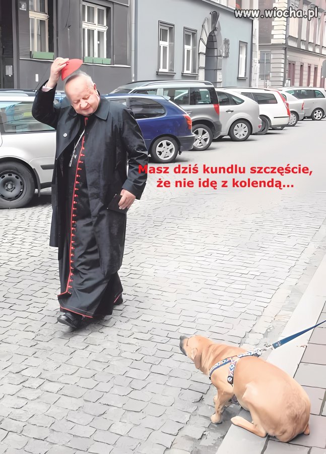 Co tu się dziwisz?