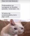Biedny koteł.