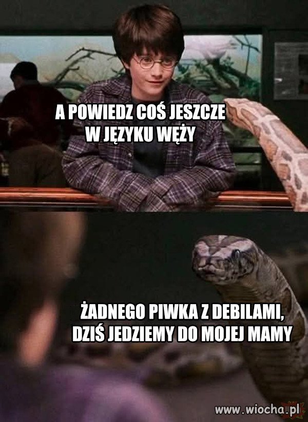 Harry Potter.