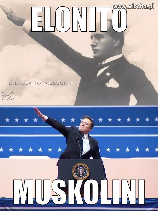 Elonito