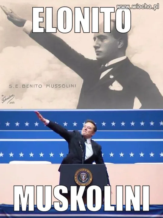 Elonito