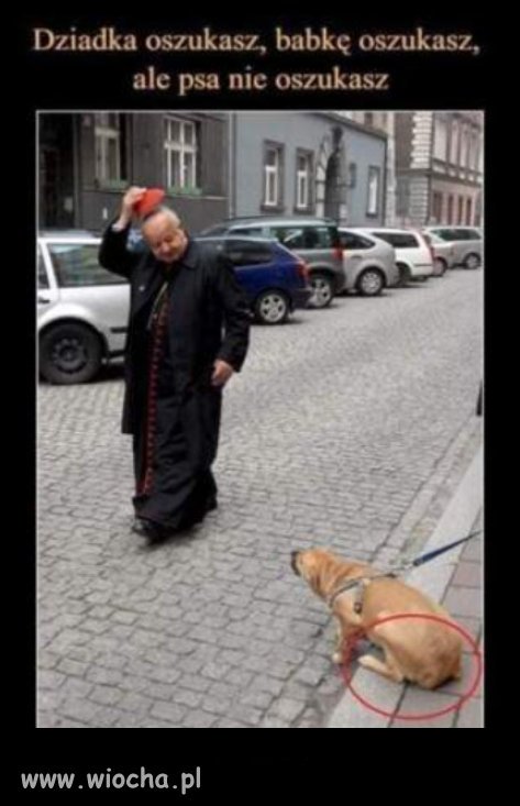 Jak to mówią: Pies zawsze wyczuje dobrego człowieka...