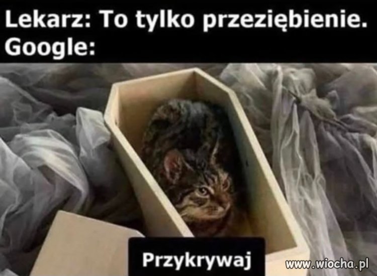 Szukasz w Google choroby?