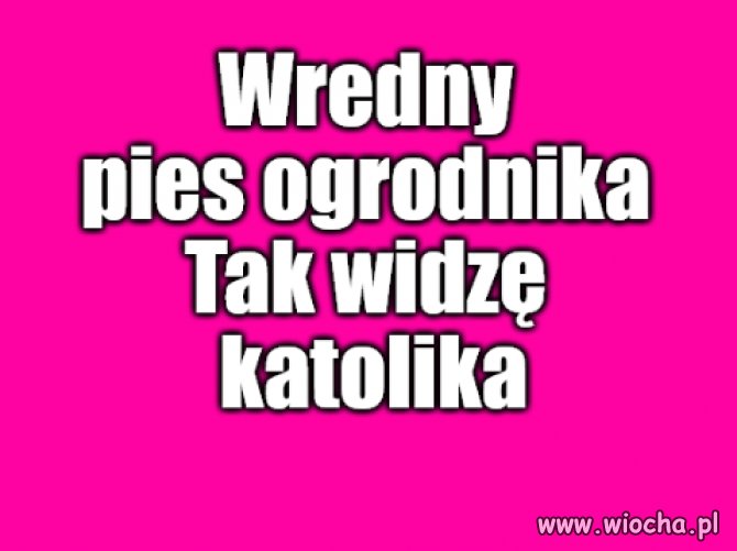 Kaprawym okiem ateisty patrząc ...