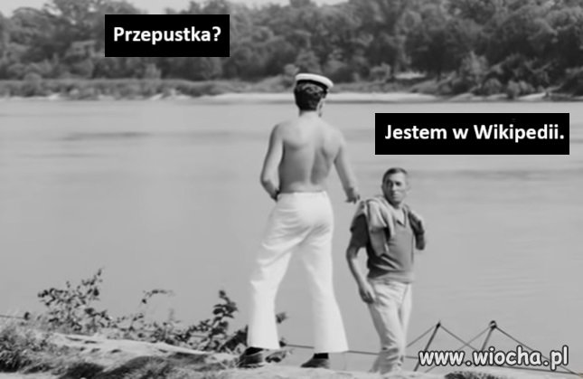 Ale żenada