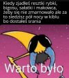 A Wy jak tam,