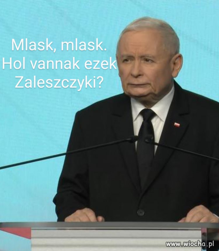 Gdzie są k... te Zaleszczyki?