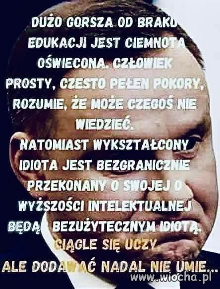 Szkoda słów
