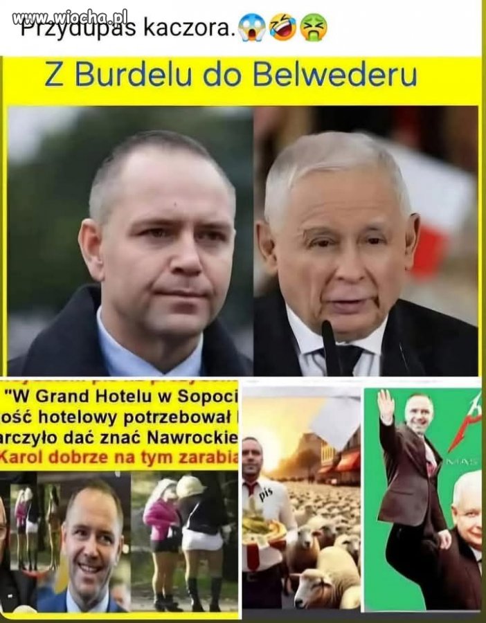 Alfons do Belwederu.