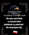 Prawicowi sojusznicy Putina w Europie to fałszywi patrioci