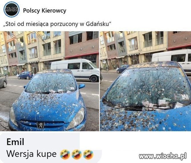 Wersja dla koneserów