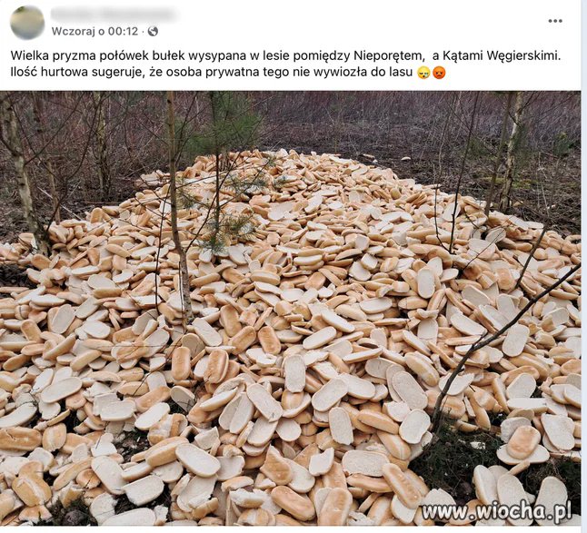 Jakim **ujem trzeba być