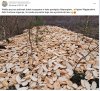 Jakim **ujem trzeba być