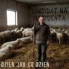 Alfons coraz bardziej się pogrąża