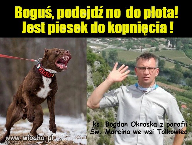 Ciekawe, czy z takim pieskiem