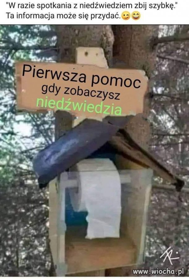 Potwierdzam