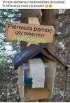 Potwierdzam