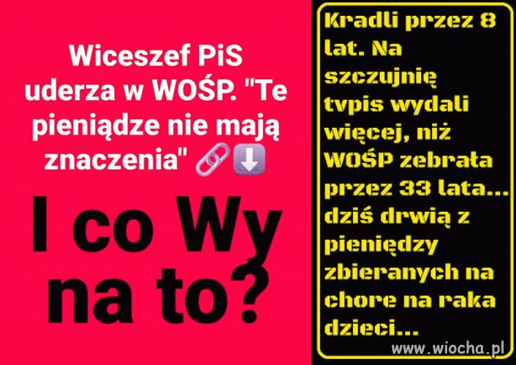 Pisowskie pomiot powiedział co wiedział
