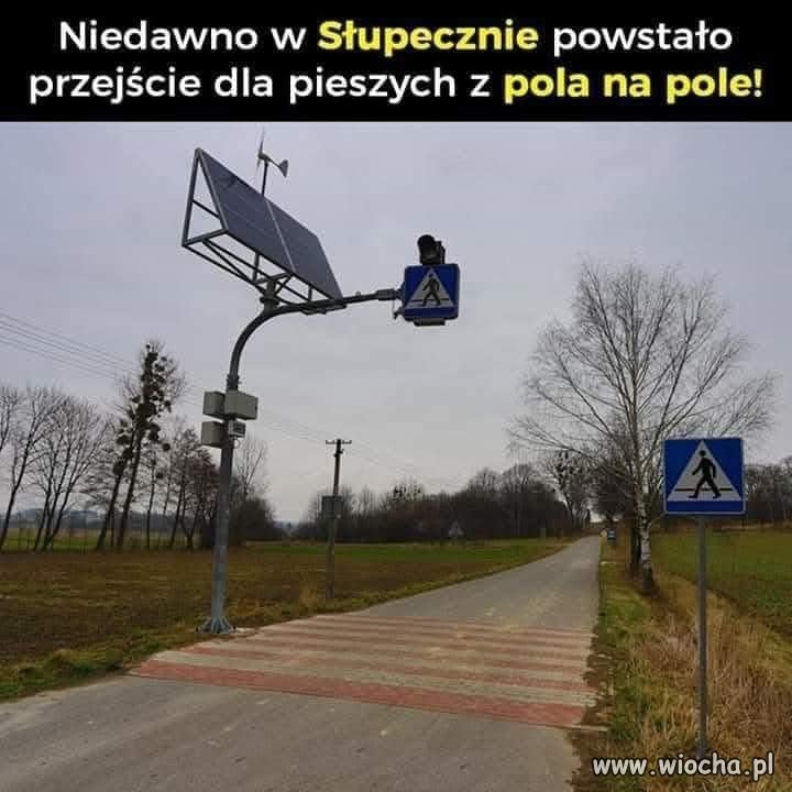 Ciekawe ile ktoś na przetargu przytulił