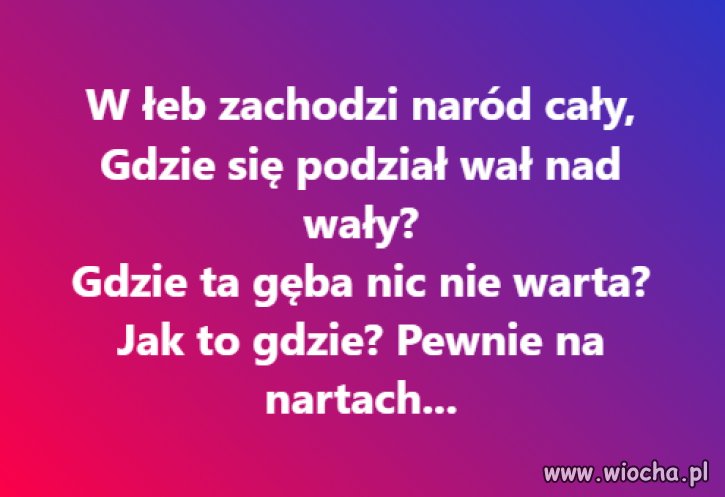 To już potwierdzone. Znaleziono sierotę na stoku 