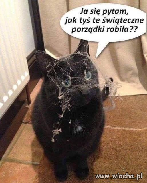 Coś tam to sprzątanie nie wyszło za dobrze Grażynie 